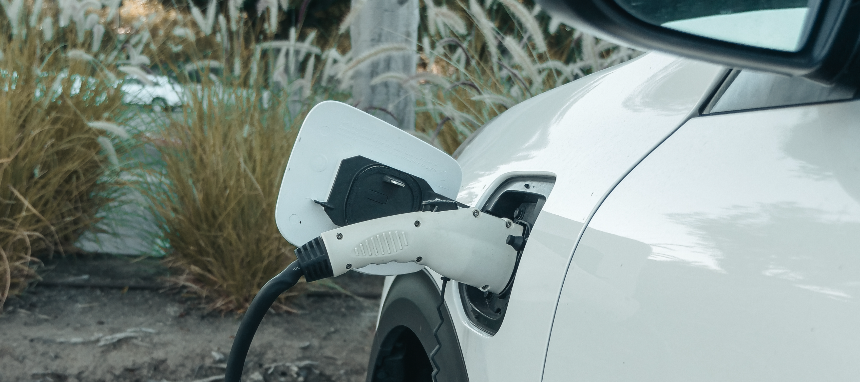 Plug & Play: your complete guide to the 174 EV charging stations in NSW